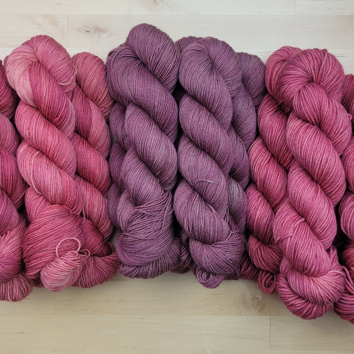 NEW MEXICO: NAVAJO TEA